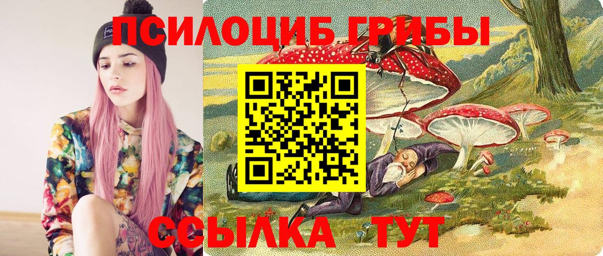 Галлюциногенные грибы Psilocybe  Буйнакск 