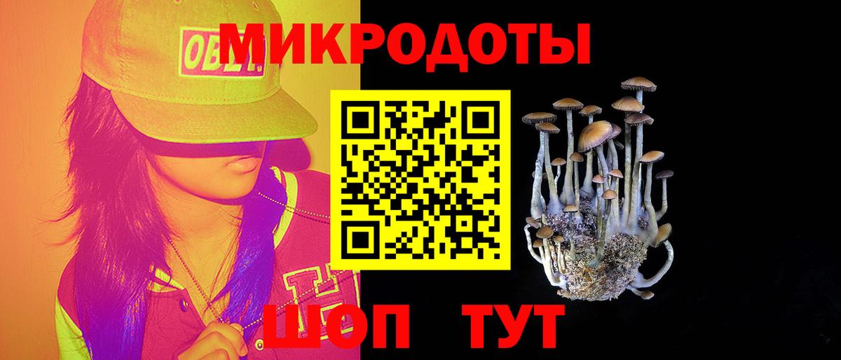 Псилоцибиновые грибы прущие грибы Буйнакск