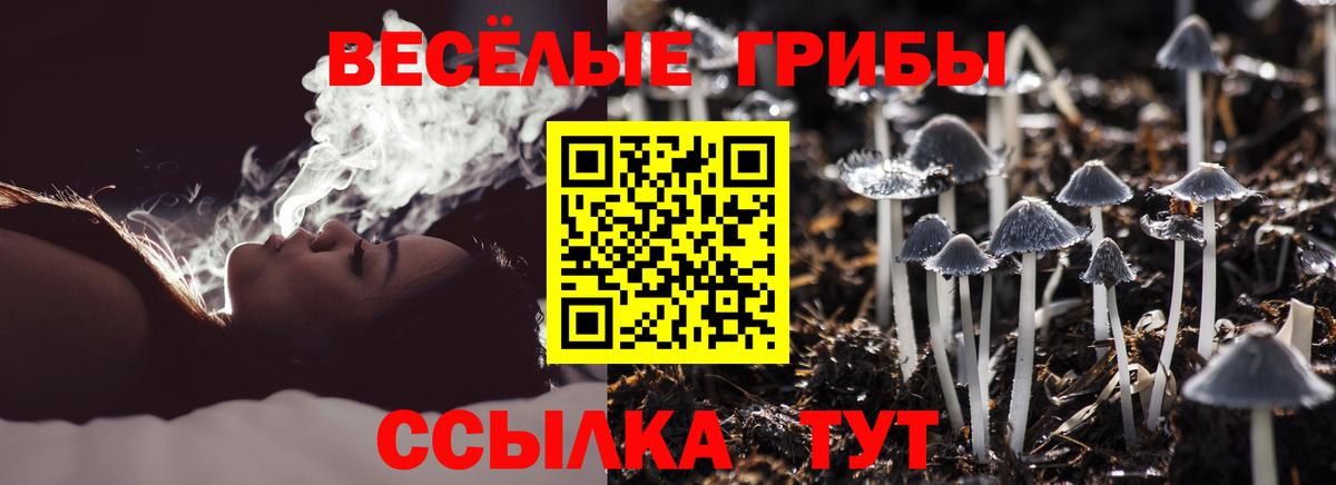 Буйнакск  Псилоцибиновые грибы ЛСД  Галлюциногенные грибы ЛСД  купить  сайты  Вход с VPN 