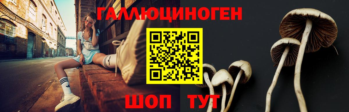 Псилоцибиновые грибы ЛСД Буйнакск